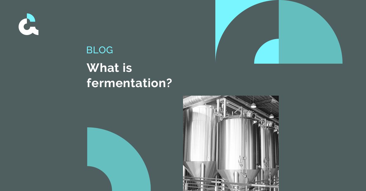 Autmix Blog What is fermentation process?